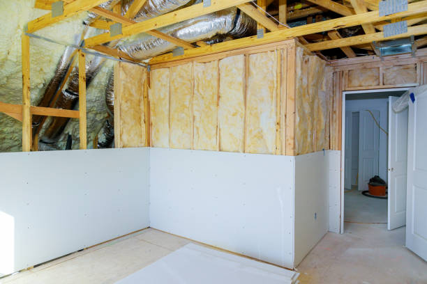 Best Insulation Removal Services  in Greer, SC
