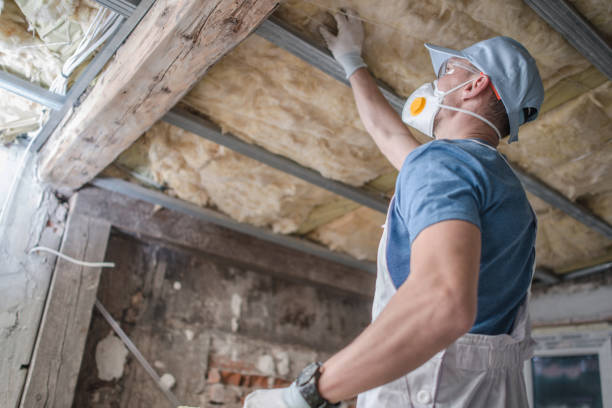 Best Blown-in Insulation  in Greer, SC
