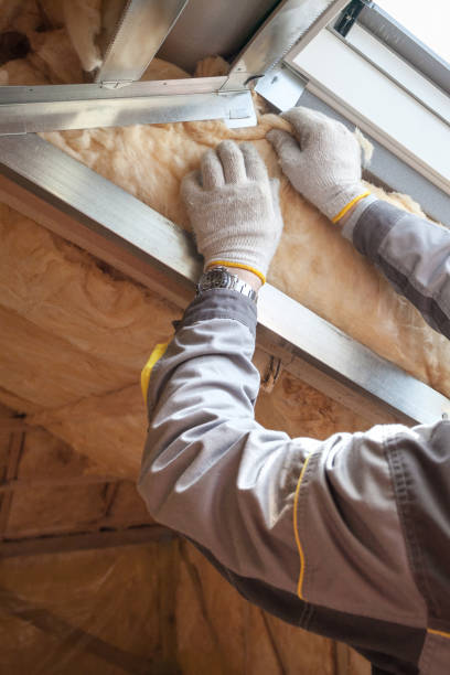 Best Residential Insulation Services  in Greer, SC