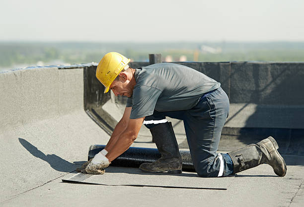 Best Crawl Space Insulation  in Greer, SC