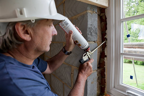 Best Home Insulation Services  in Greer, SC
