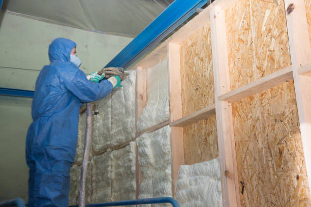 Best Fiberglass Insulation  in Greer, SC