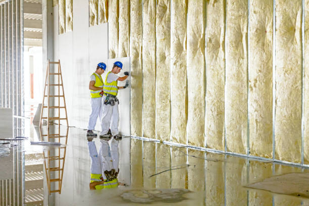 Best Insulation for New Construction  in Greer, SC